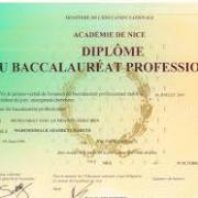 Bac pro