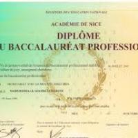 Bac pro de français