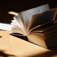 Commentaires pour le bac de français