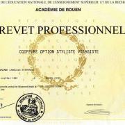 Brevet pro coiffure