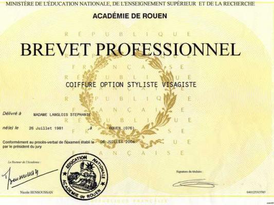 Brevet pro